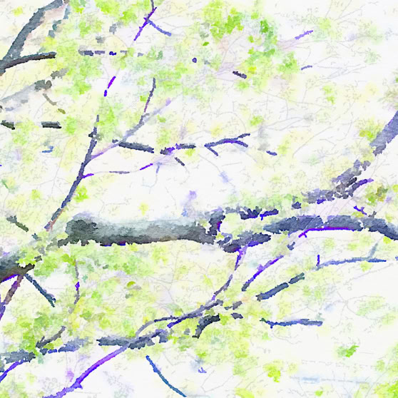 ماما مها | Mama Maha منتجات متنوعة من البهارات Shop homemade Spice blends. www.mamamaha.com